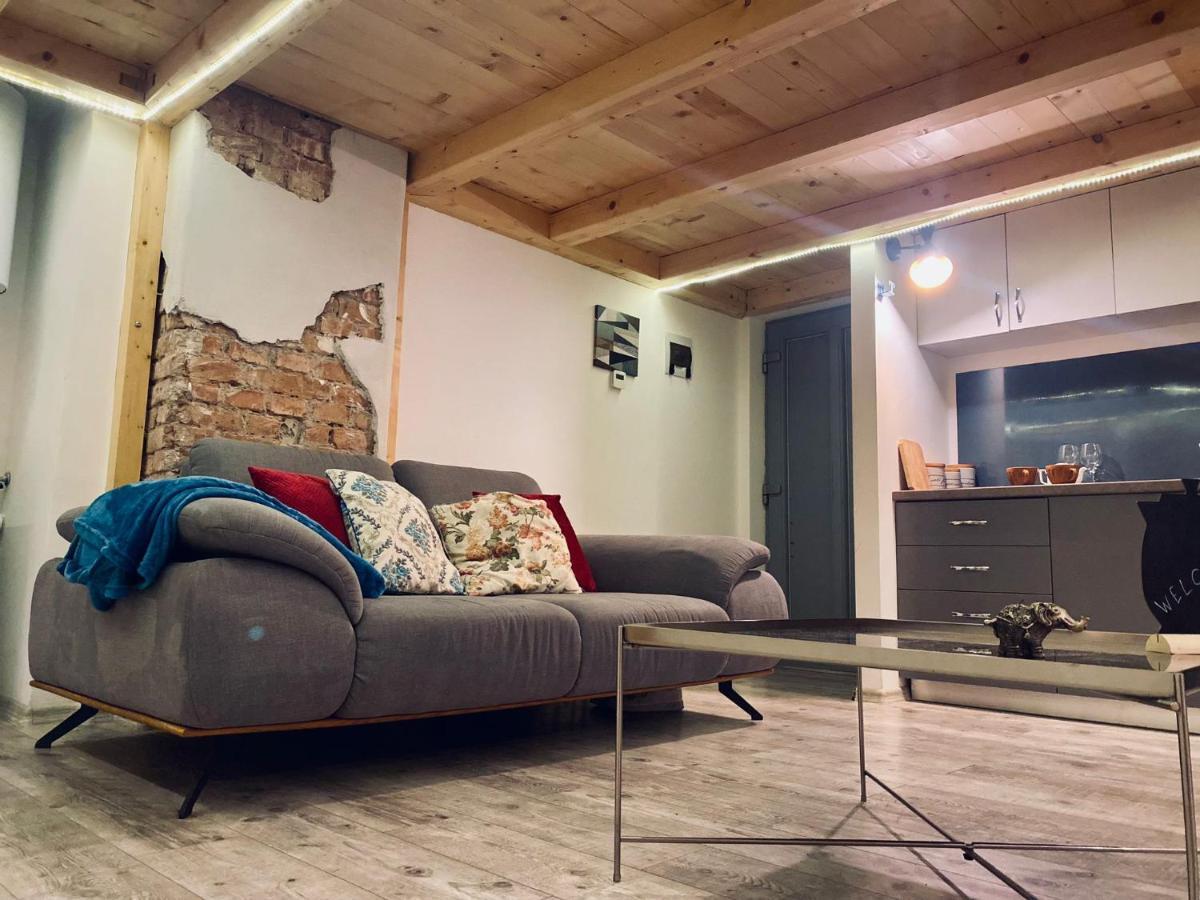 Central Cluj Loft Apartment Екстериор снимка