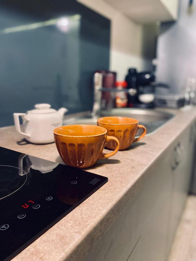 Central Cluj Loft Apartment Екстериор снимка