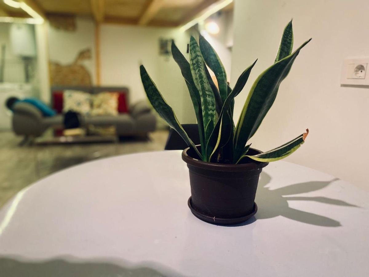 Central Cluj Loft Apartment Екстериор снимка